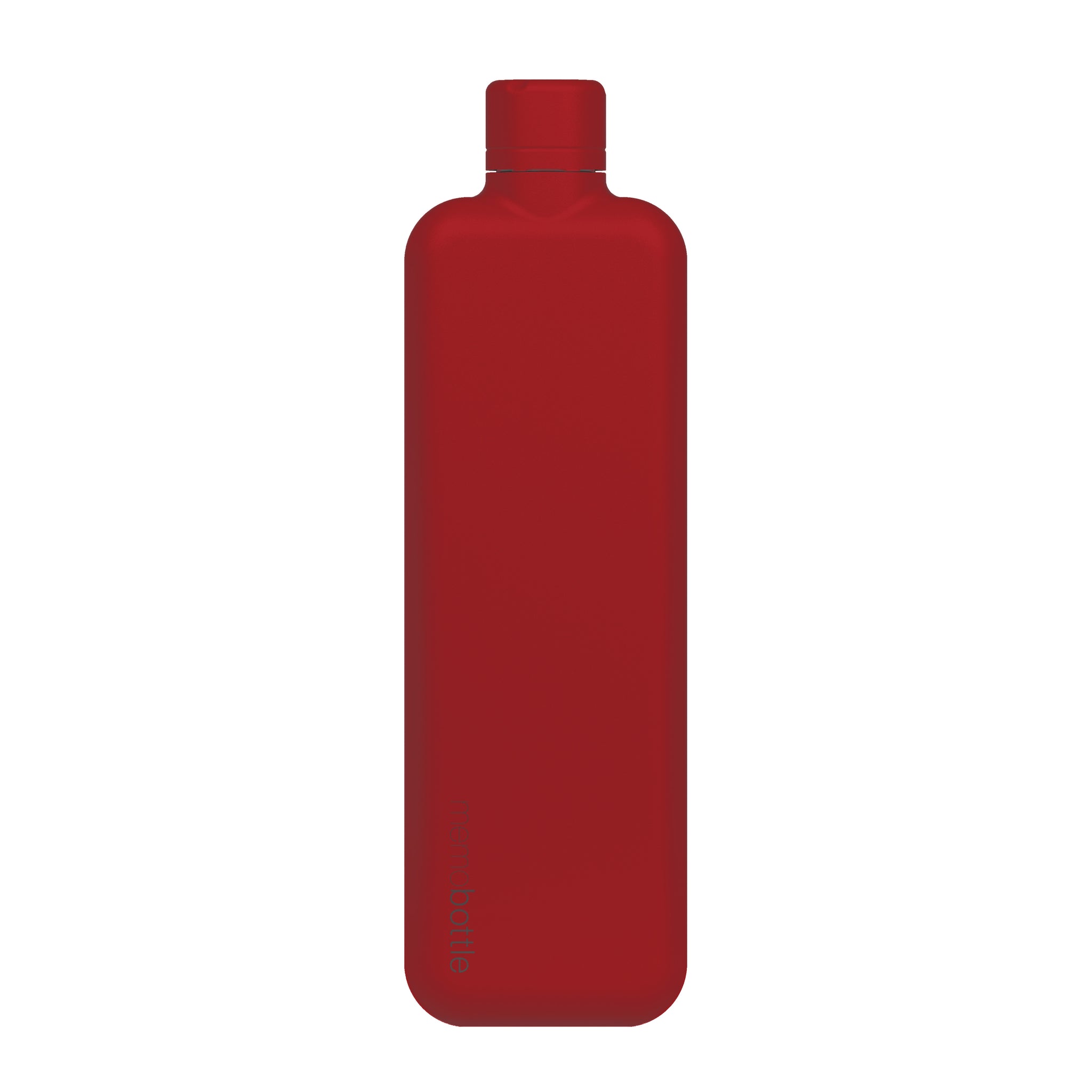 Stainless Steel memobottle™